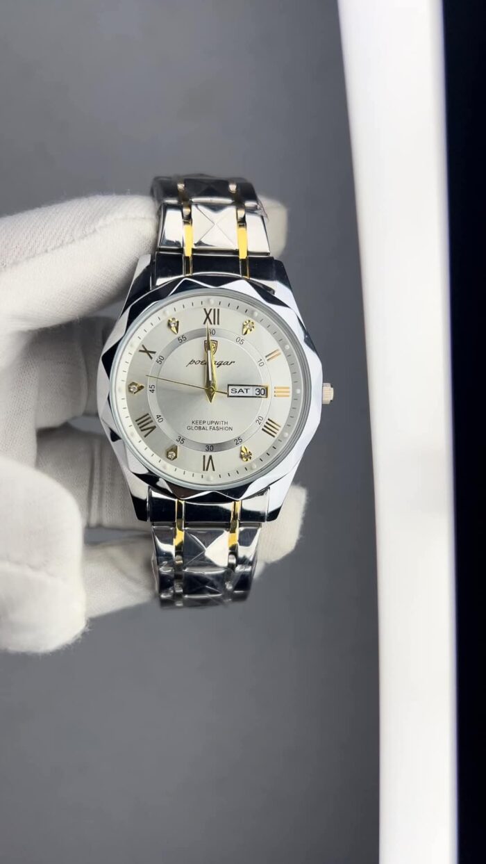 POEDAGAR 615 Luxury Men’s Watch