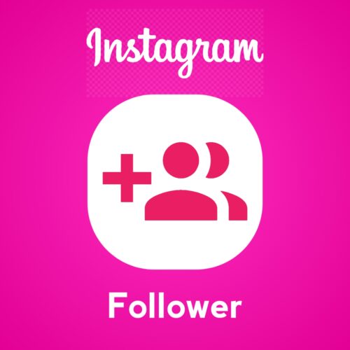 Instagram Profile Follower Non Drop