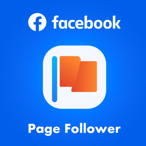 Facebook Page Follower Non Drop