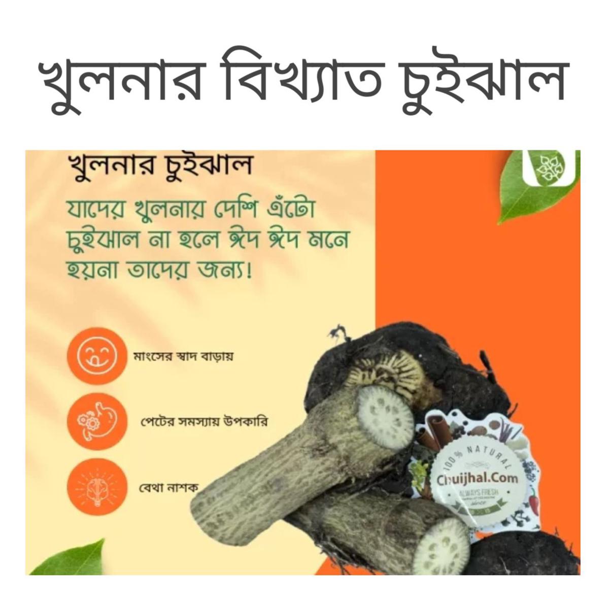 Diabetic cure mushroom