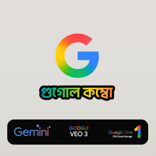 Gemini Advanced + Google 2TB Cloud Storage + VEO 3