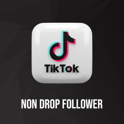 TikTok Non Drop Follower